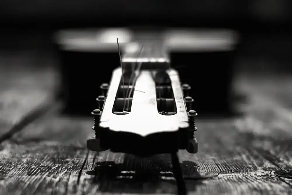 Premium acoustic guitar detail